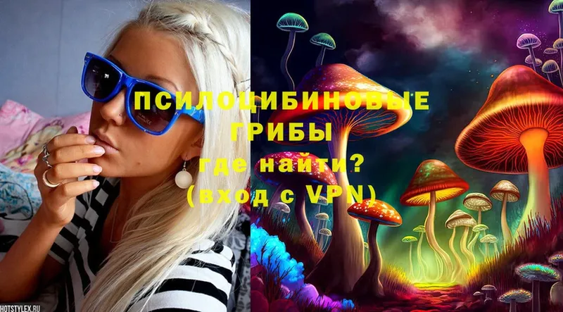 Галлюциногенные грибы Psilocybine cubensis  Фёдоровский 